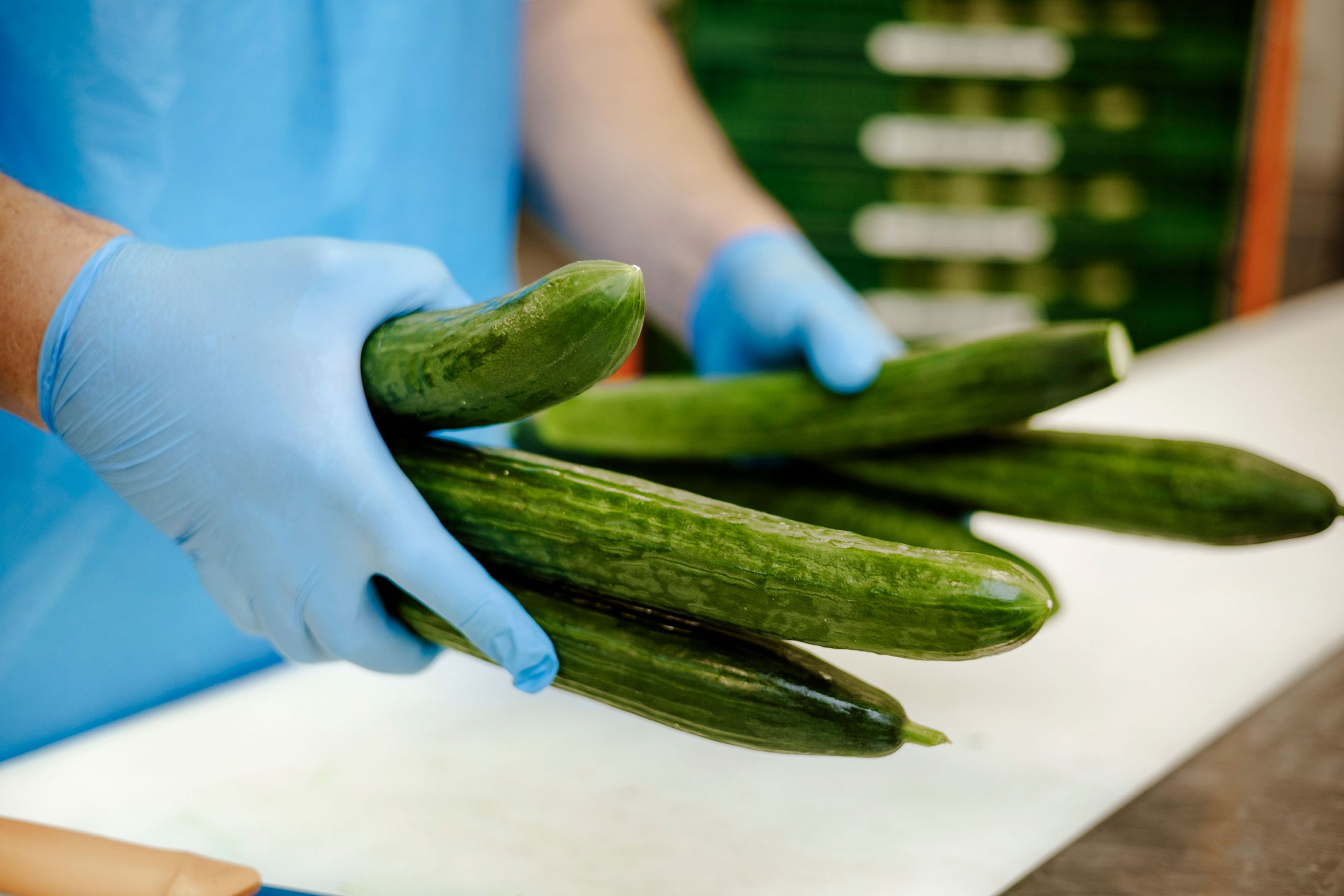 LePicant27.98.24-228