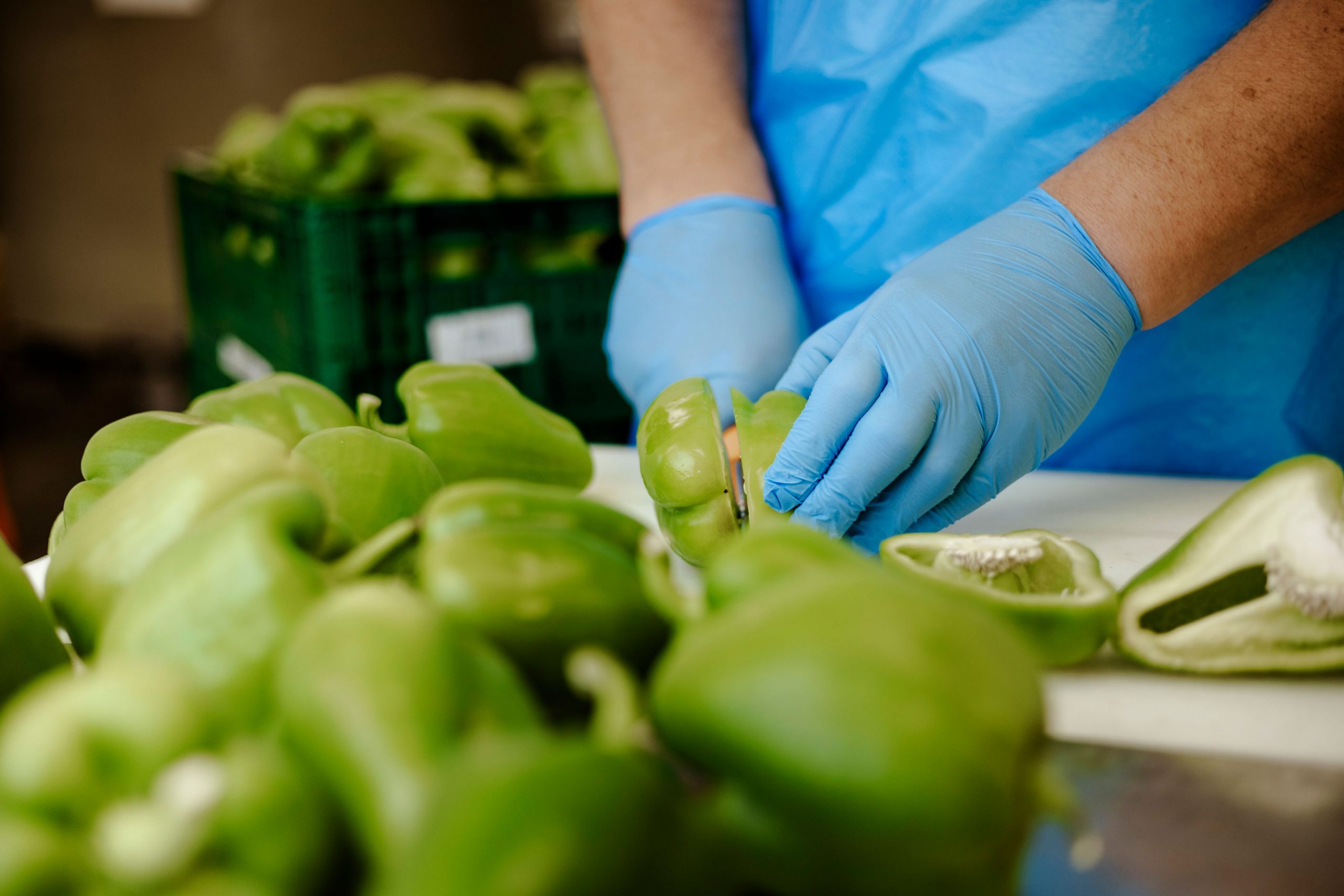 LePicant27.98.24-236