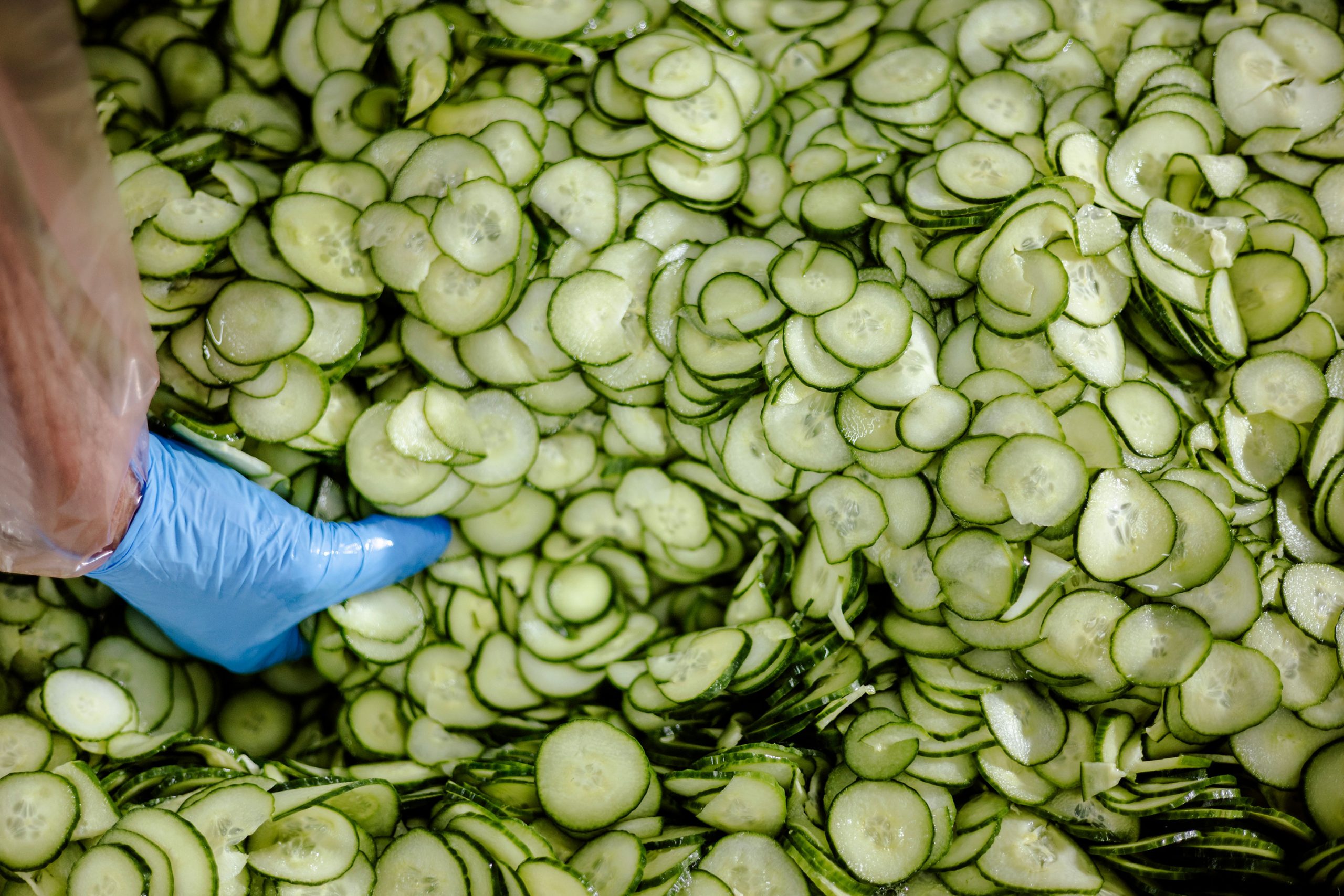 LePicant27.98.24-298